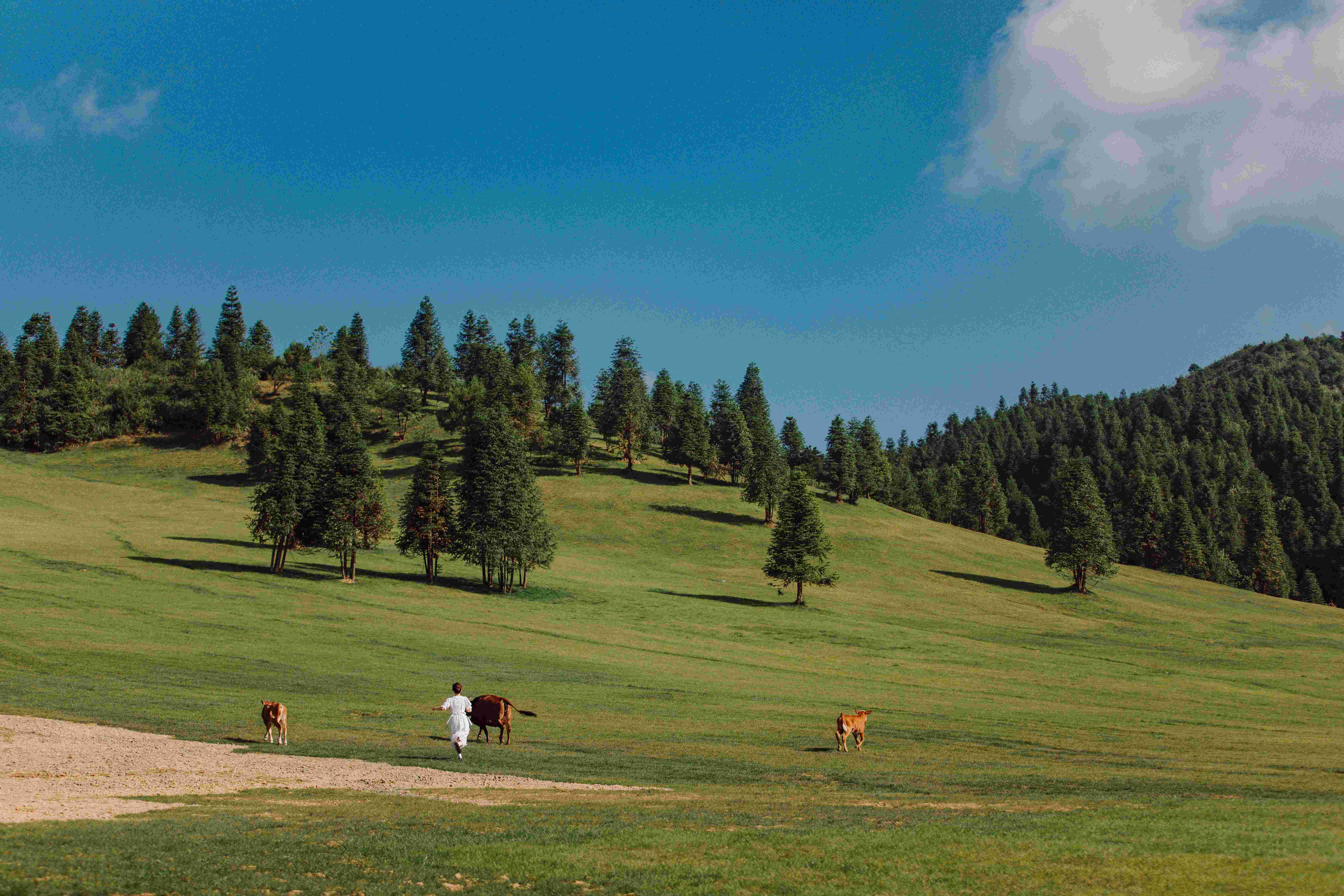 五一畅游酉阳||神龟峡探秘×花田踏青×草原逐风，反向出行带你玩转诗意假期！